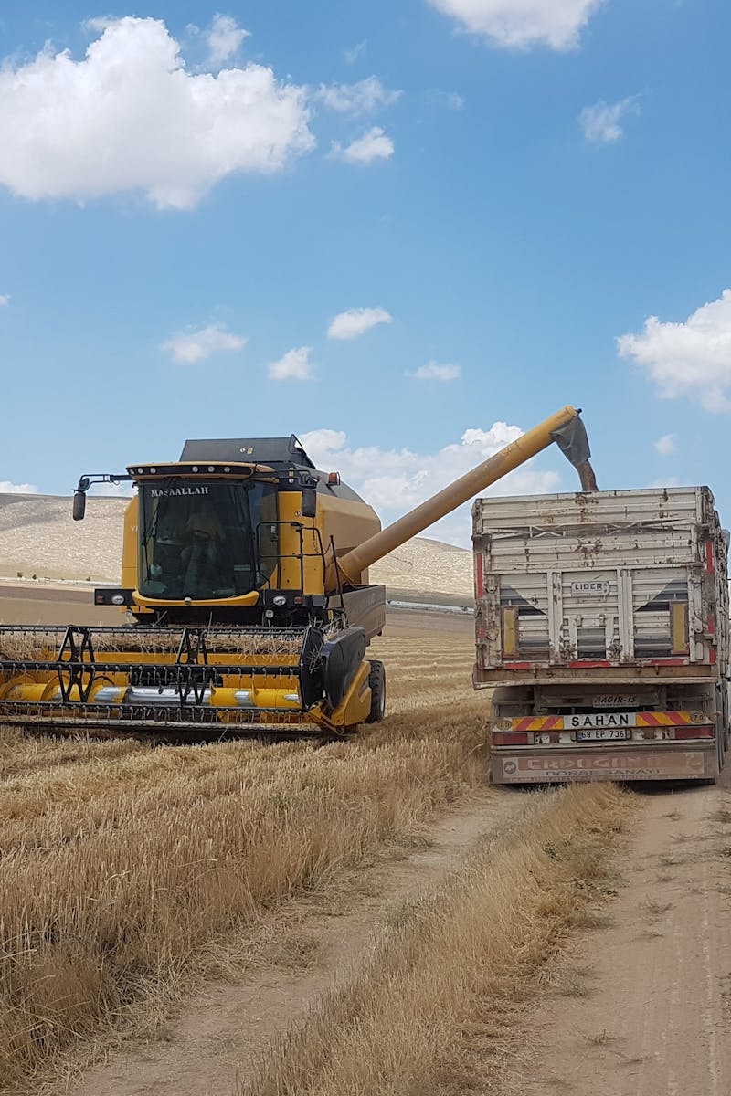 Combine harvester unloading grain into a truck in a rural agricultural field.